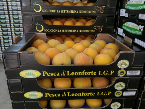Leonforte's Peaches 